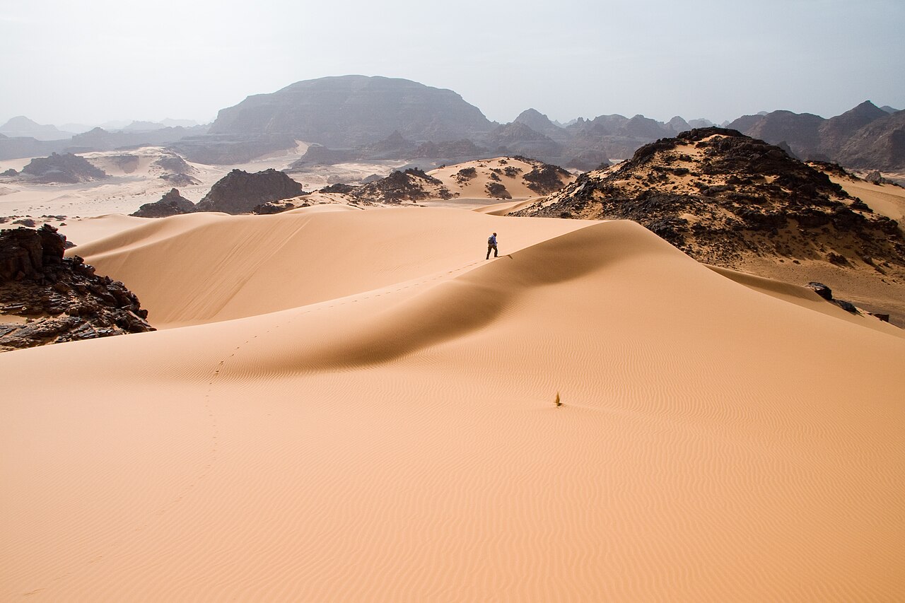 Dunes de sable dans le désert